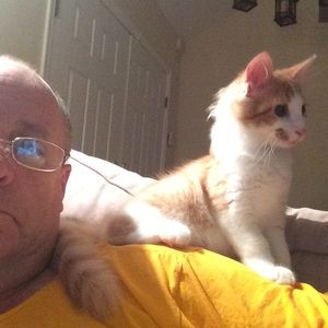 Meet your Posher, Brian